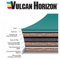 Vulcan Horizon
