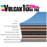 Vulcan 10 No Pak